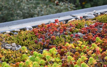 the cost of Darby End green roof installation