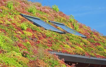 Darby End living roof systems